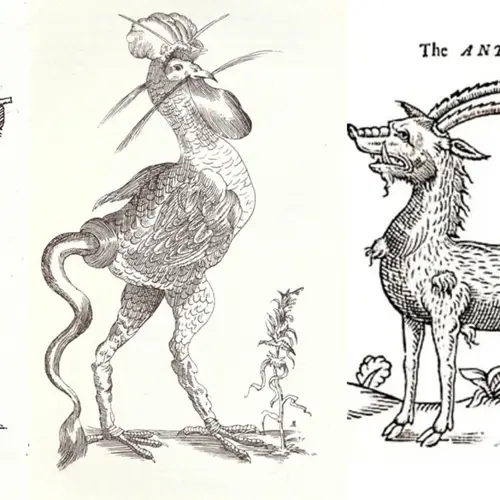 44 Mythical Creatures That Early Zoologists Once Believed Were Real