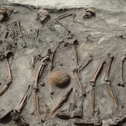 The Skeletal Remains Of 18 Nazi Soldiers Were Just Found In A Mass Grave In Poland