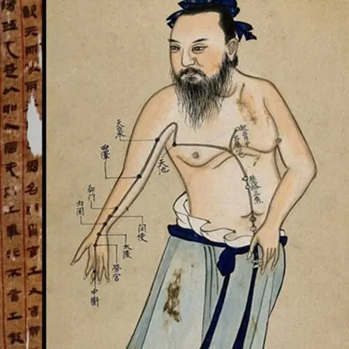 This 2,200-Year-Old Chinese Medical Text May Be The Oldest Known Chart Of Human Anatomy