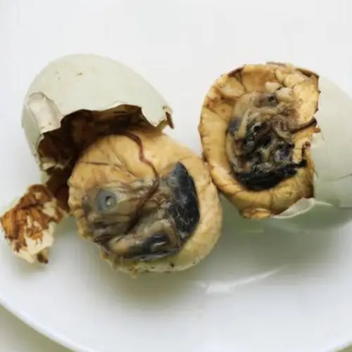 28 Pictures From Sweden's Disgusting Food Museum That Will Make You Gag