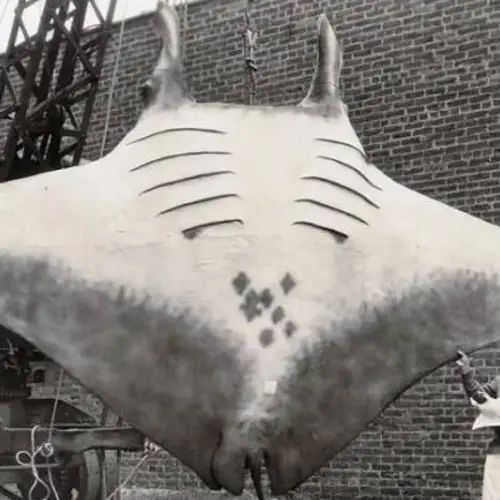 55 Weird Pictures From The Internet's Catalog Of Humanity's Past