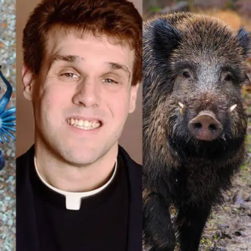 11 Bizarre News Stories From 2020 That We Still Don't Understand