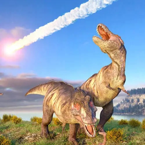 Dinosaurs Were Killed By A Comet From A Deep Space Cloud Of Icy Debris, Harvard Study Says