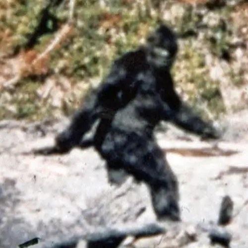 The True Story Of The Patterson-Gimlin Film That Some Say Proves Bigfoot Is Real