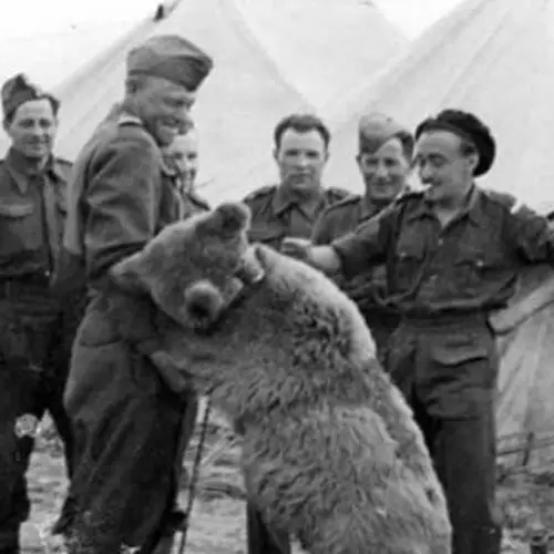 33 Fun History Facts That Prove The Past Is Even More Fascinating Than You Realized