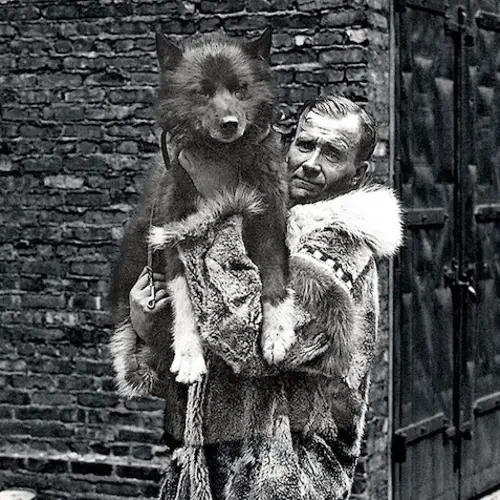 The True Story Of Balto, The Husky That Helped Save An Entire Alaskan Town From Certain Death