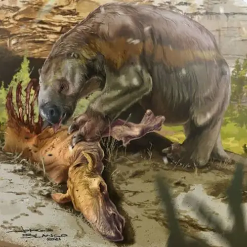 Scientists Just Discovered The First Direct Evidence Of Any Ancient Giant Sloth Species Eating Meat