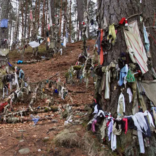 Anonymous Cleaner Accidentally Destroys Ancient Scottish Pilgrimage Site