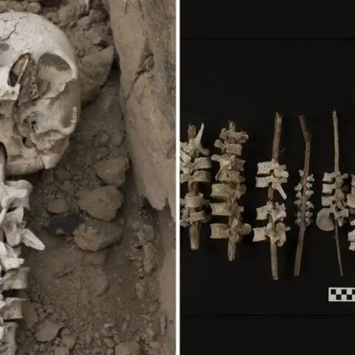 Archaeologists In Peru Discover A 16th-Century Grave Containing Nearly 200 Human Spines Threaded Onto Sticks