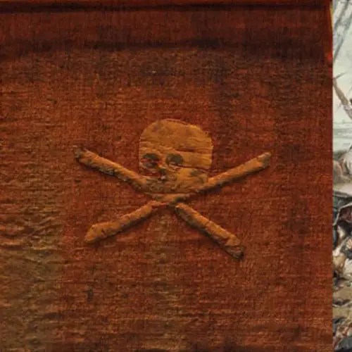 Inside The Blood-Soaked Story Of The Jolly Roger Pirate Flag