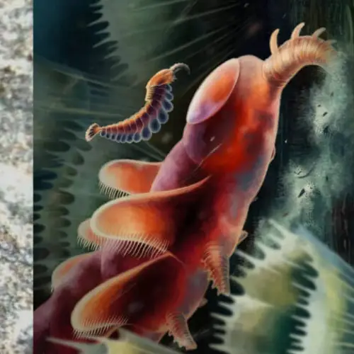 Scientists Just Uncovered Fossils Of An Unknown Prehistoric Creature In A Welsh Sheep Field