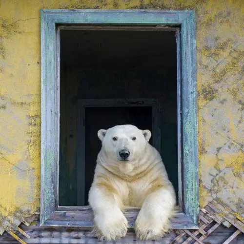 11 Of The Weirdest News Stories That Made Headlines In 2022