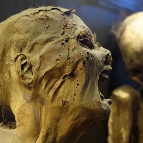 Experts Warn That Mummies On Display In Mexico May Be Able To Spread Fungal Infections To Humans