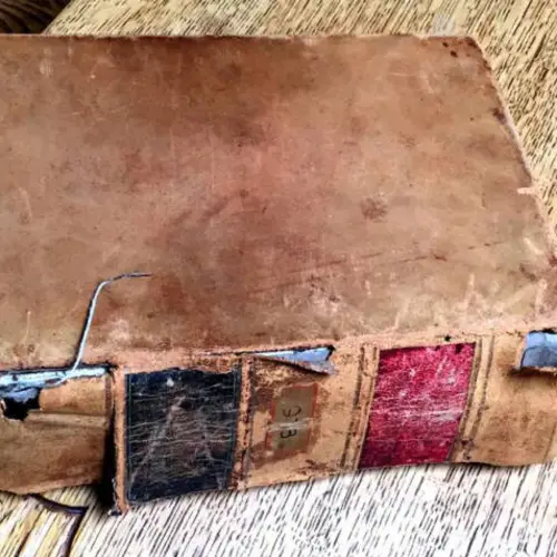 A Book Checked Out In 1927 Was Just Returned To A California Library Nearly A Century Late