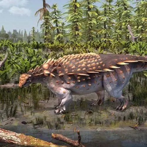 Paleontologists Discover New Dinosaur With 'Blade-Like' Spikes On Britain's Isle Of Wight