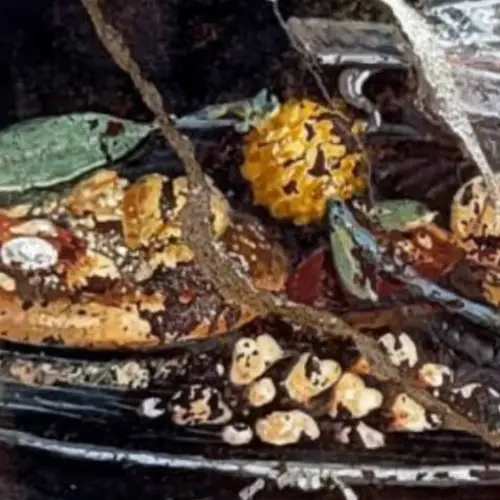 Archaeologists In Pompeii Discover 'Pizza' Fresco Among Ancient Ruins