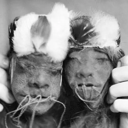 Inside The Real History Of Shrunken Heads, From The Amazon To Nazi Germany