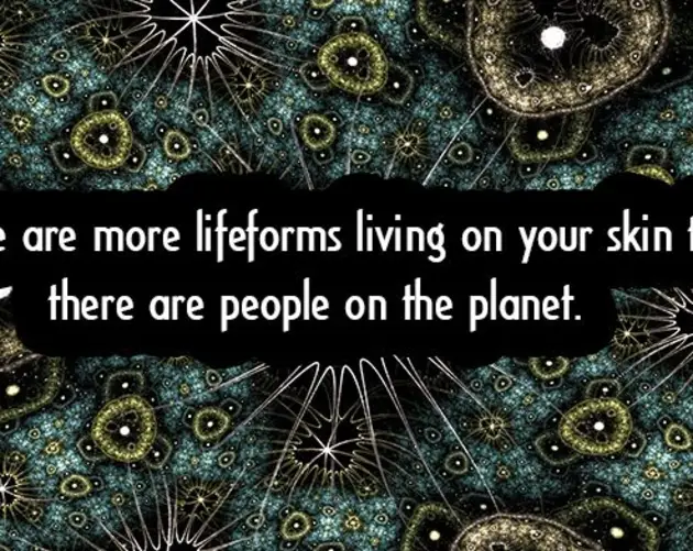 Lifeforms Living On Your Skin