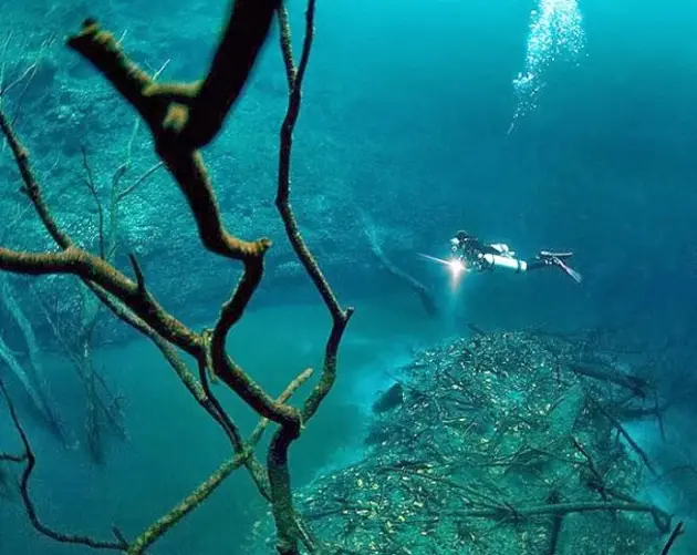 Hovering Over Underwater River