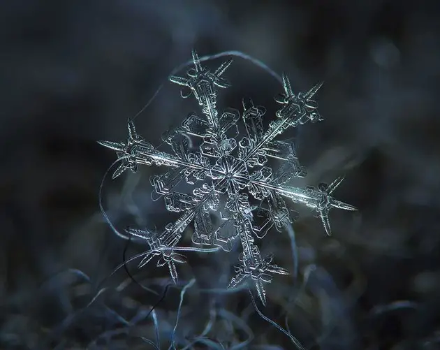 Snowflake in Detail