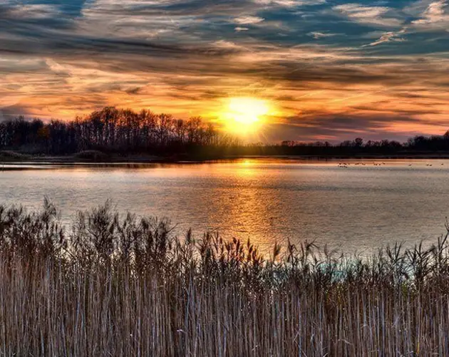 Bombay Hook Wildlife Reserve