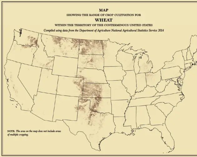 Us Census Maps That Reveal The True America 0007