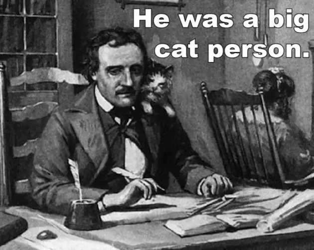 Poe Facts Cat Person