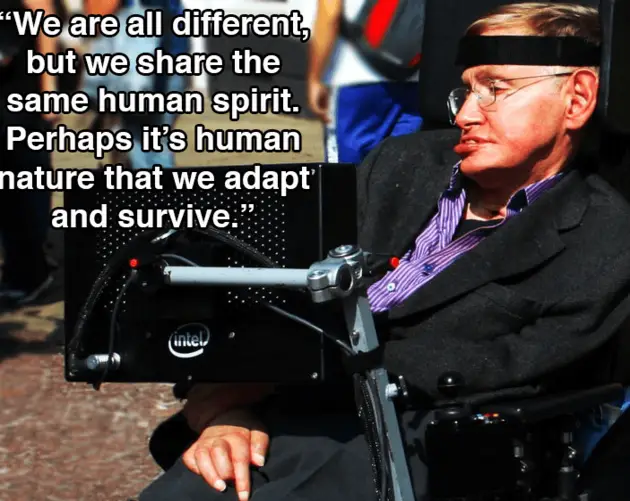 Hawking In Profile