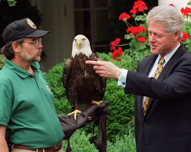 Bill Clinton American Eagle