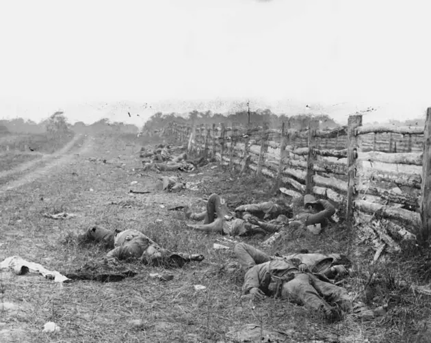 Bodies At Antietam During The Civil War
