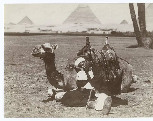 Dragoman Sleeping With Camel