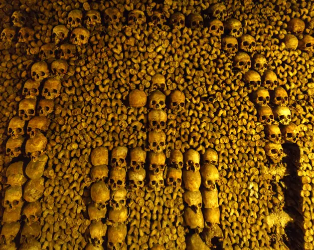 Arranged skulls in the Paris Catacombs