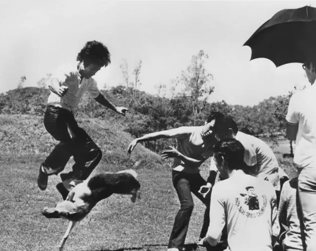 Bruce Lee Fighting A Dog