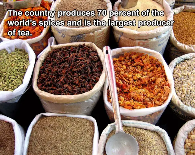 Interesting India Facts Spices