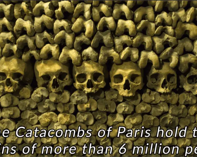 Interesting France Facts Catacombs