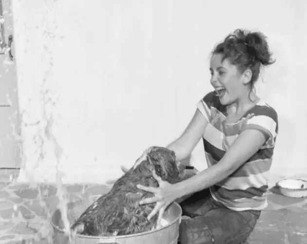 Elizabeth Taylor Washing Her Pet Dog