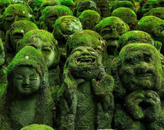 Mossy Faced Statues