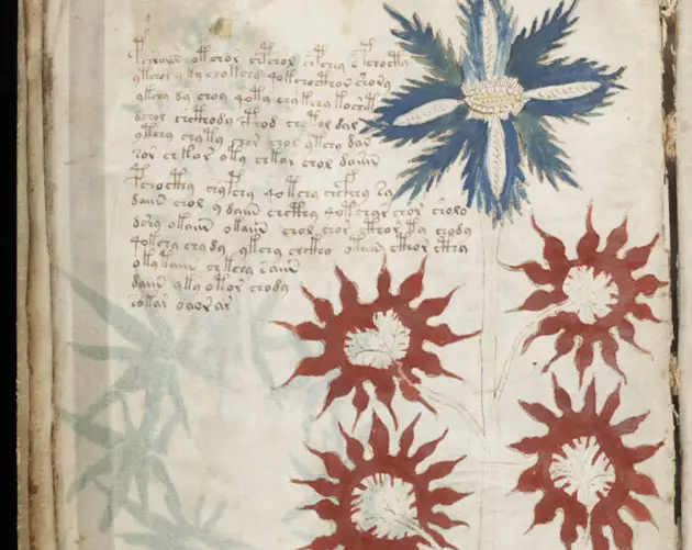 Undeciphered Page In The Voynich Manuscript