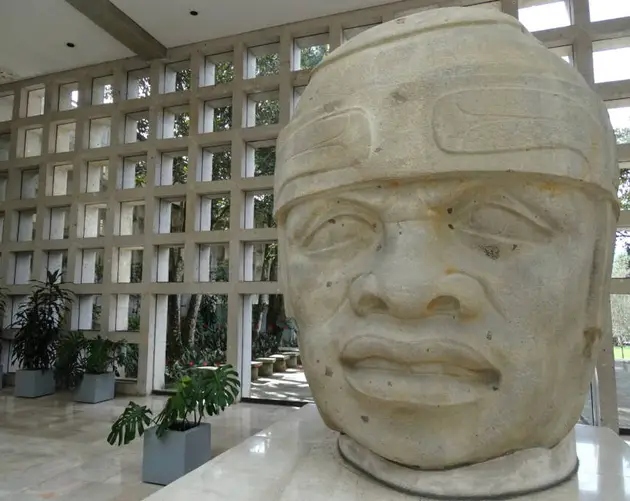 Olmec Museum Head