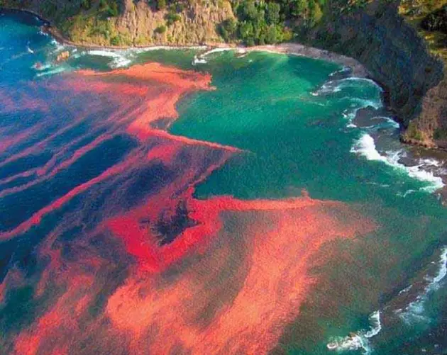 Tides Red