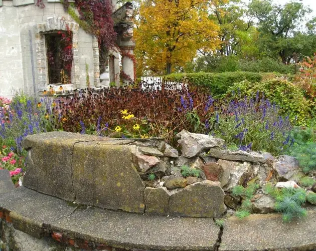 Bannerman Flowers