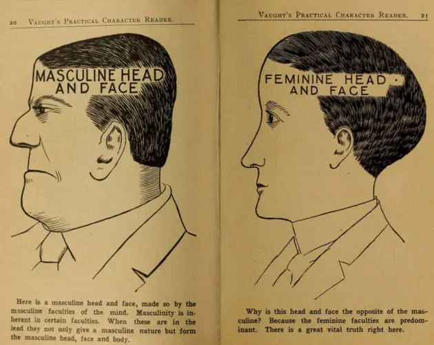 Masculine Vs Feminine Phrenology Chart