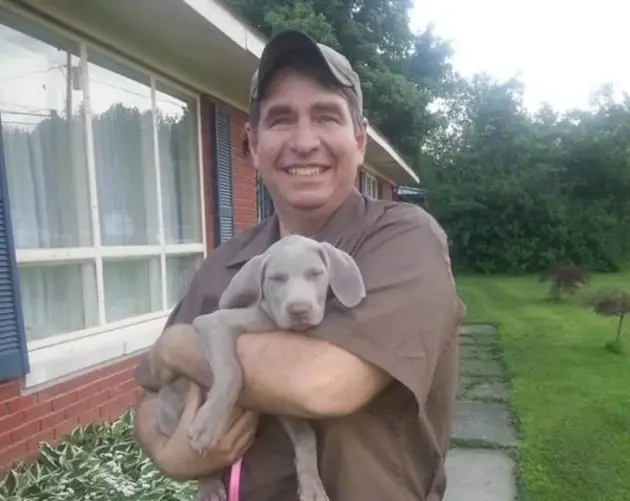 UPS Dogs Puppy In Man's Arms