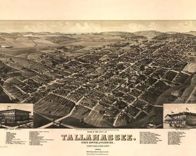 Illustrated Panoramic Maps Tallahassee Florida 1885
