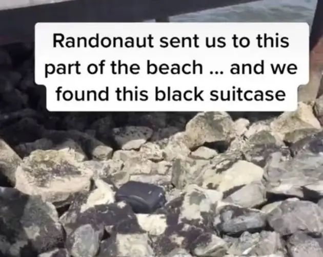Tiktok Teens Finding Suitcase