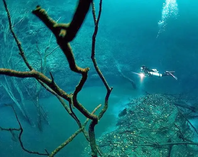 Hovering Over Underwater River