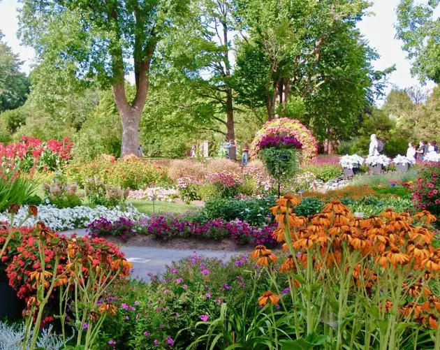 Garden Of Innovations