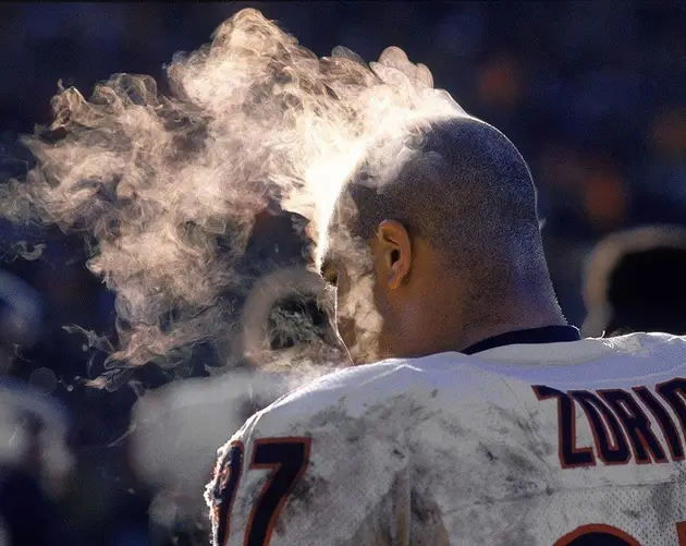 NFL Photos Zorich