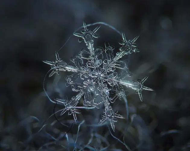 Snowflake in Detail