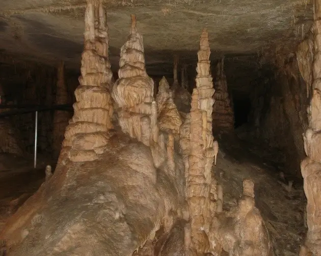 Unknown World Heritage Sites Mammoth